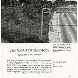 The Flora of Chicago: Tenacity & Enterprise