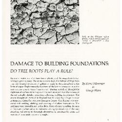 Damage to Building Foundations: Do Tree Roots Play a Role?