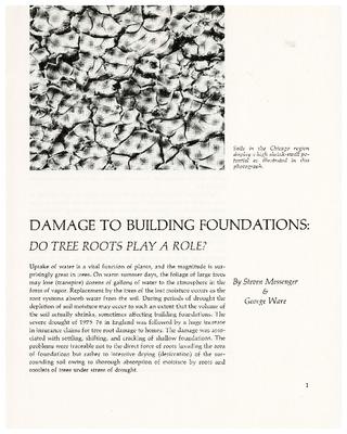 Damage to Building Foundations: Do Tree Roots Play a Role?