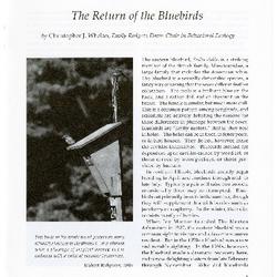 The Return of the Bluebirds