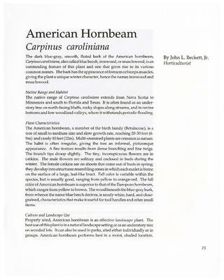 American Hornbeam, Carpinus caroliniana