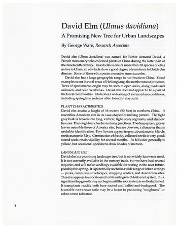 David Elm (Ulmus davidiana): A Promising New Tree for Urban Landscapes