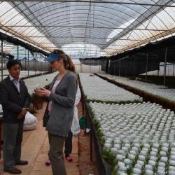 Nicole Cavender examining plant samples at the Yunnan Academy of Agricultural Sciences in China