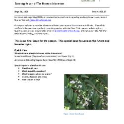 Plant Health Care Report: Issue 2021.13 and Index