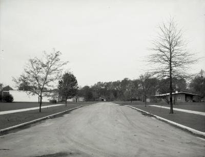 Road into completed Arbordale housing development