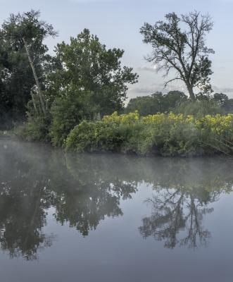Morning Fog on Sunfish Pond
