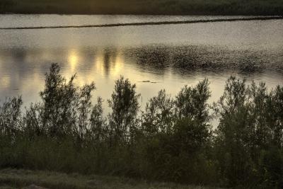 Sunset Reflecting on Crabapple Lake