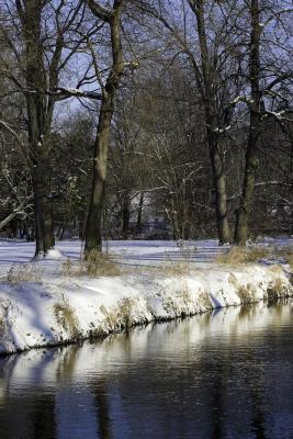 DuPage River Bank in Winter