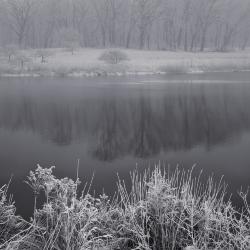 Frost & Fog on Crabapple Lake
