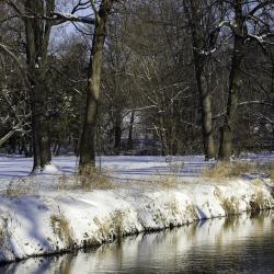 DuPage River Bank in Winter