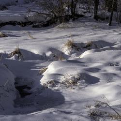 Fresh Snow on Willoway Brook