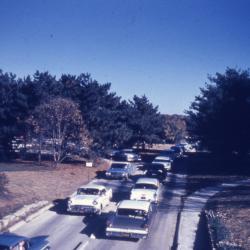 Traffic in The Morton Arboretum