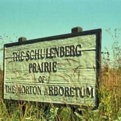 Schulenberg Prairie Sign, 1994