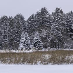 Winter Panorama