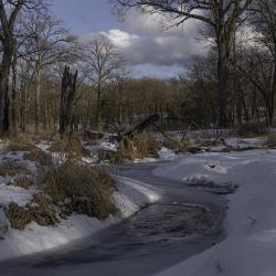 Snow and Ice along Willoway Brook