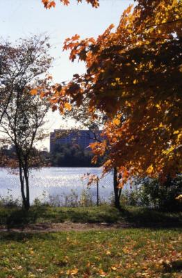 Arbor Lake partially obscured by trees with fall color
