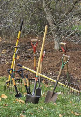 Garden Shovels and Rakes