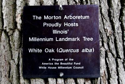 Illinois Millennium Tree Tag