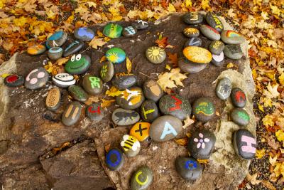 Painted Rocks with Nature Themes