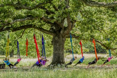 Kicking Back in the Tree Yoga Class