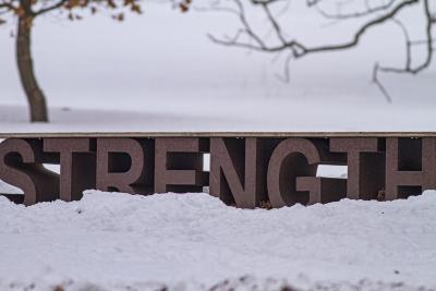 Strength Bench with Snow