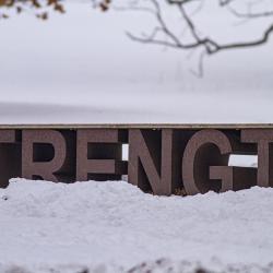 Strength Bench with Snow