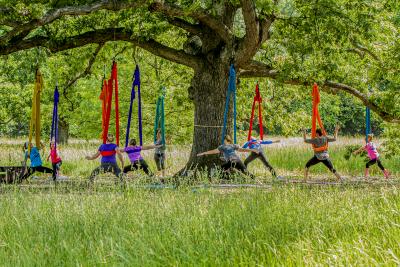 Tree Yoga in the Oak Collection
