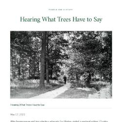 Hearing What Trees Have to Say