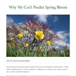 Why We Can't Predict Spring Bloom