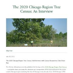 The 2020 Chicago Region Tree Census: An Interview