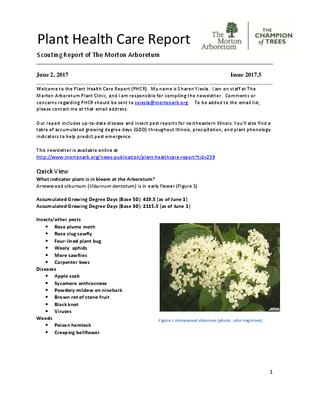Plant Health Care Report, Issue 2017.5