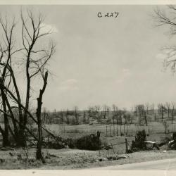 View from road, men working in field with uprooted and bare trees