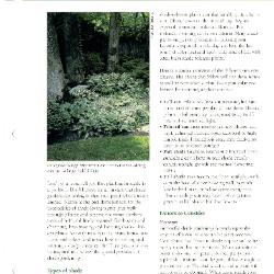 Tree & Shrub Handbook: Selection, Plants for Shady Sites