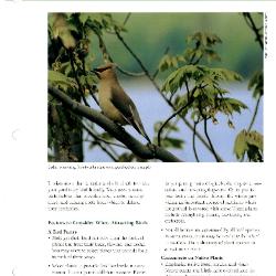 Tree & Shrub Handbook: Selection, Trees and Shrubs that Attract Birds