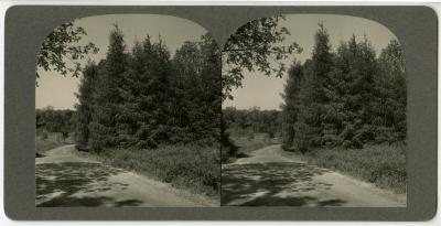 Ridge Road above geographic groups looking east, stereograph