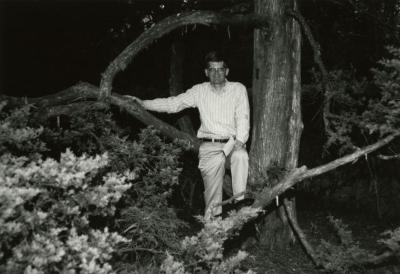 Peter van der Linden sitting on low hanging tree branch