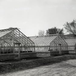 Greenhouses (pre 1980), three in a row alongside the Administration Building