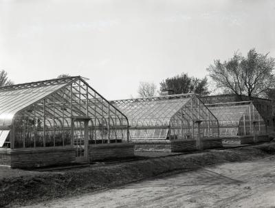 Greenhouses (pre 1980), three in a row alongside the Administration Building