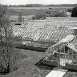 Greenhouses (pre 1980), aerial view