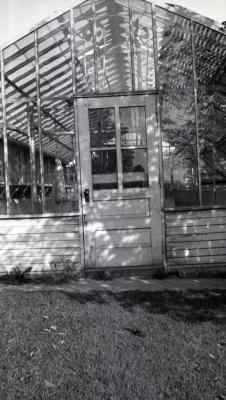The Morton Arboretum's first greenhouse at South Farm (built Spring 1922), entrance door