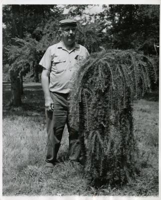Roy Nordine outdoors standing next to plant