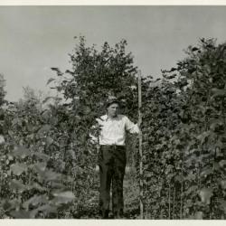 Walter Eickhorst measuring poplar plot