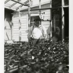 John Van Gemert in greenhouse