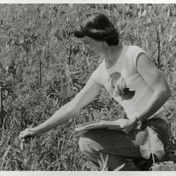 Pat Armstrong studying plant in Schulenberg Prairie