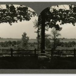 View from lookout over Geographic Groups toward northwest, stereograph