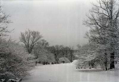 Morton residence grounds south lawn in winter