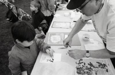 Arbor Day activities at The Morton Arboretum, boy at Be a Botanist station creating Herbarium specimen