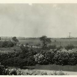 Lilacs, entrance, and highway (now Route 53) viewed from upstairs window of Clarence Godshalk's first Arboretum house, looking northeast