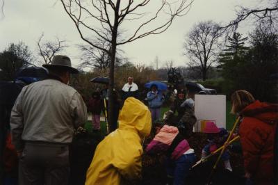 Arbor Day, children planting tree with Carolyn Finzer dressed as Morton Oak