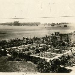 Clarence Godshalk's garden at first Arboretum house, viewed from back upstairs window
